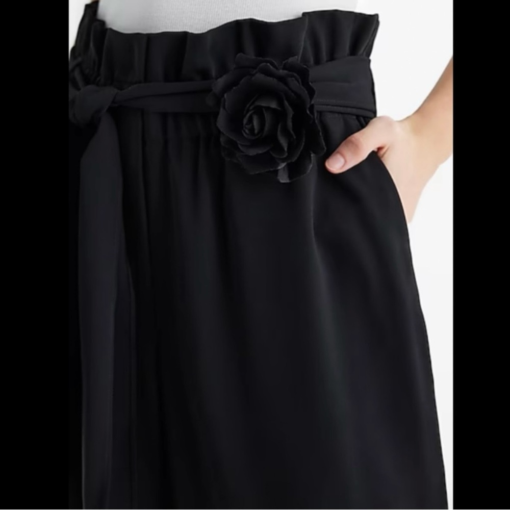 NWT Express High Waisted Pants - Picture 3 of 8